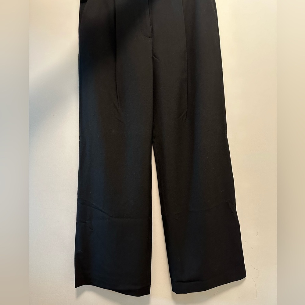 New aritzia berna pant